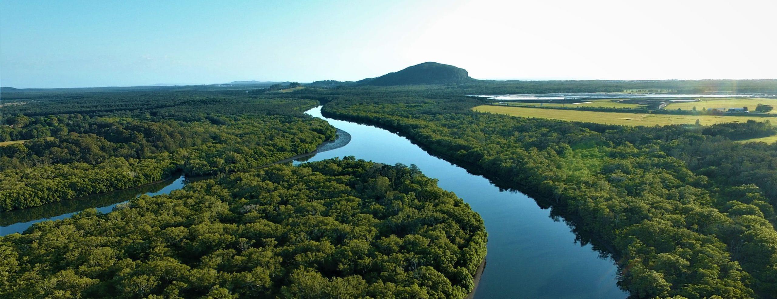 eco river tours