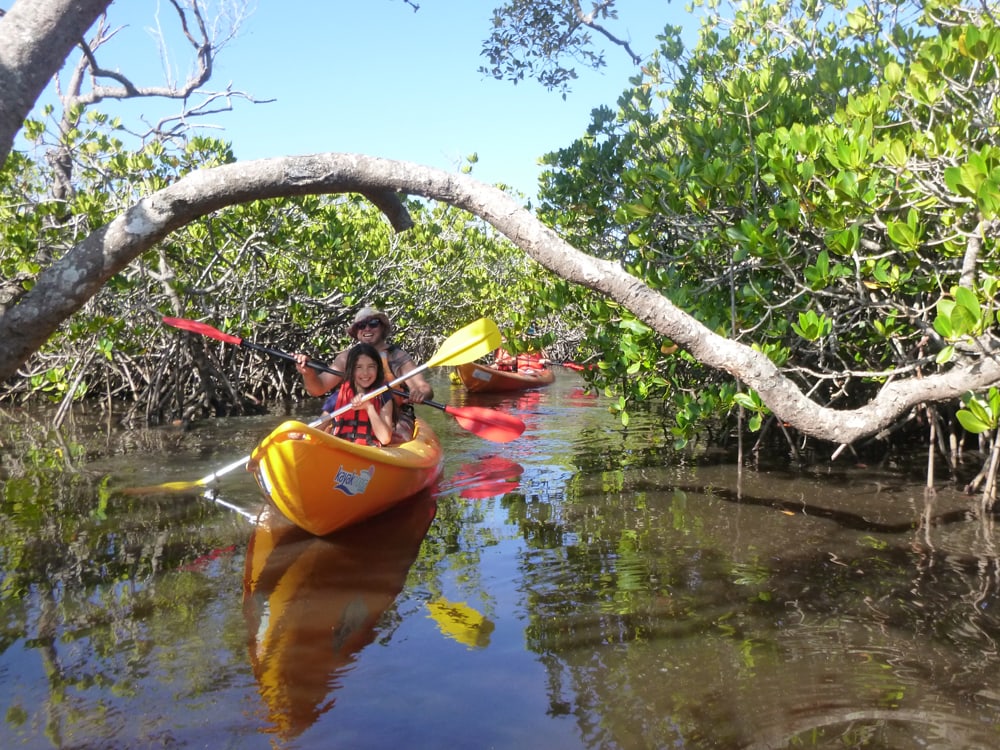Kayak Noosa PortSide Australia " " 2024